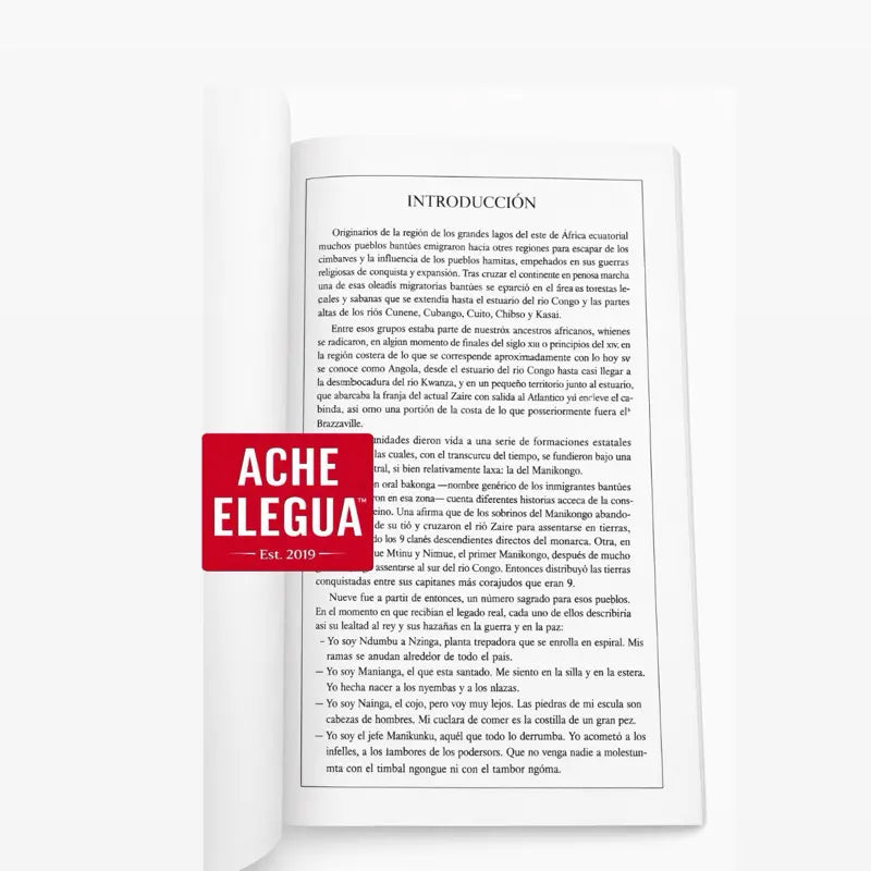 Tamakunde Yaya y Las Reglas  de Palo Monte Book Spanish