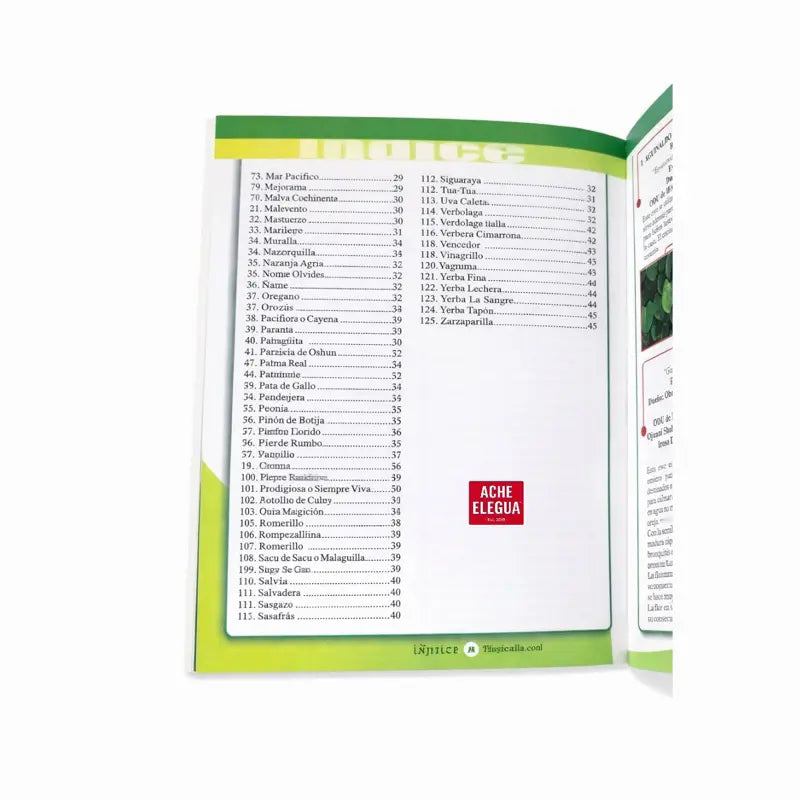 The 101 Sacred Ewes of Ozain Herbs Book 2da Edición Spanish