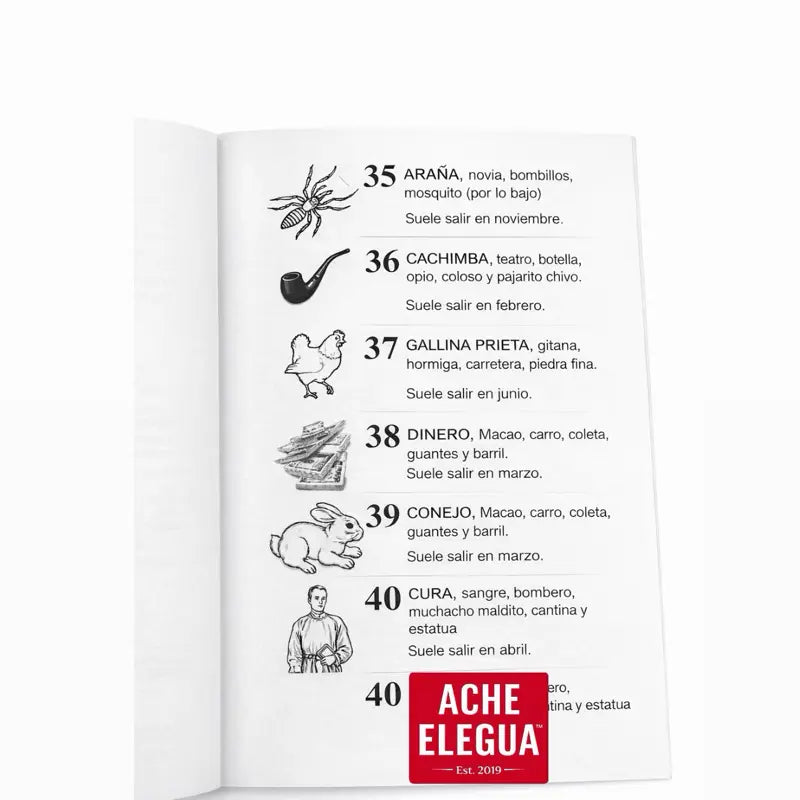 100 Hundred Number Charada Book Spanish Edition