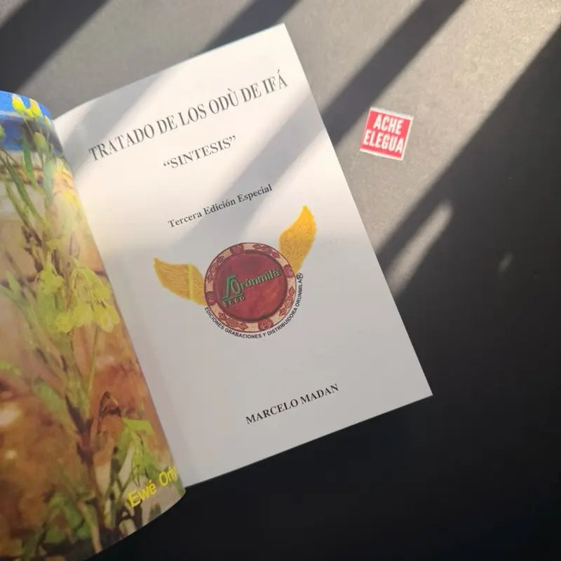 Ifá Odu Treatise "Synthesis" (Special 3rd Edition) Spanish