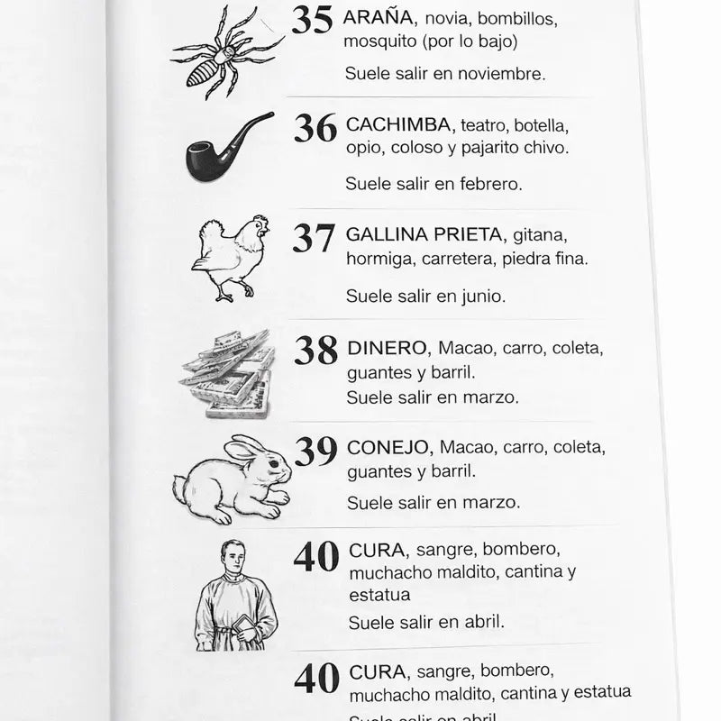 100 Hundred Number Charada Book Spanish Edition