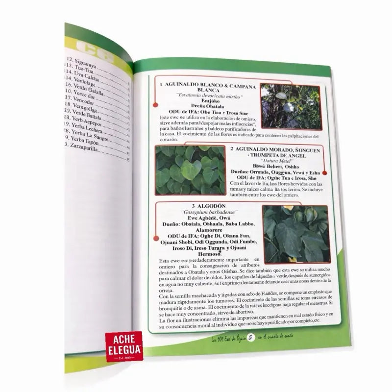The 101 Sacred Ewes of Ozain Herbs Book 2da Edición Spanish