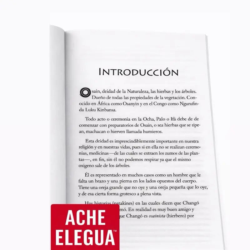 El Gran Manual de las Firmas de Osain Book Spanish